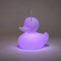 Goodnight Light The Duck Duck Lamp - Small