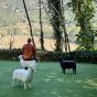 Goodnight Light SHEEP Seat - Black