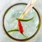 HAVN gin