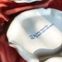 Incartato Ceramics Issues Dinner Plate  - "The wine tastes like I don't need underwear"