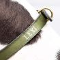 les deux chiens personalised dog collar leash