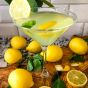The Ultimate Limoncello Martini Cocktail Kit