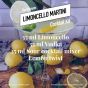 The Ultimate Limoncello Martini Cocktail Kit