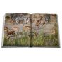 Londolozi: The Safari that Changed Everything