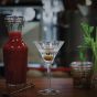 The Ultimate Limoncello Martini Cocktail Kit