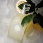 MM Antverpia Limoncello 1520