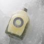 MM Antverpia Limoncello 1520