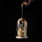 MM Antverpia 1501 Gin Gold 2023 Limited Edition