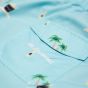 Mr Bowmont swim shorts - The island hopper