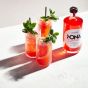 NONA Non-alcoholic Spirtz