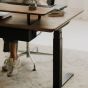 Oakywood Standing Desk Pro - Walnut