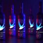 Grey Goose Vodka Vive la Nuit Nightvision - 1.5L