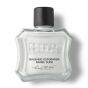Proraso Balsamo Dopobarba - Barbe Spesse