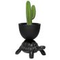 Qeeboo Turtle Carry Planter and Champagne Cooler