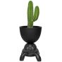 Qeeboo Turtle Carry Planter and Champagne Cooler