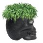 Qeeboo Mexico Skull Planter and Cooler Black