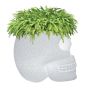 Qeeboo Mexico Skull Planter and Cooler Lamp White