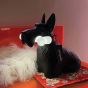 Qeeboo Dog Scottie Black