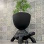 Qeeboo Turtle Carry Planter and Champagne Cooler