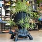 Qeeboo Turtle Carry Planter and Champagne Cooler