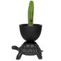 Qeeboo Turtle Carry Planter and Champagne Cooler