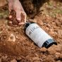 Queirón Mi Lugar 2019 DOCa Red Wine