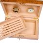 Rapport London 25 Cigar Humidor Burr - Walnut
