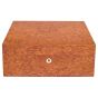 Rapport London 50 Cigar Humidor Burr - Walnut