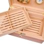 Rapport London 50 Cigar Humidor Burr - Walnut