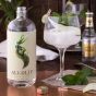 Seedlip Garden 108 non-alcoholic spirit