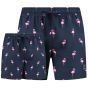 Son of a Beach Father & Son Swim Shorts Flamingo - Blue