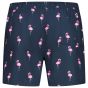 Son of a Beach Father & Son Swim Shorts Flamingo - Blue