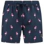Son of a Beach Father & Son Swim Shorts Flamingo - Blue