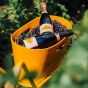 Veuve Clicquot Brut Rosé Champagne