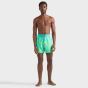 Vilebrequin Velvet Flocked Flowers Swim Shorts - Green