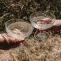 Vranken Special Brut Rosé Champagne
