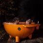 Weltevree Dutchtub Original