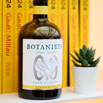 Botaniets Ingwer-Yuzu Alkoholfreier Spirit