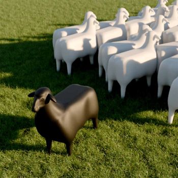 Goodnight Light SHEEP Sitz – Schwarz
