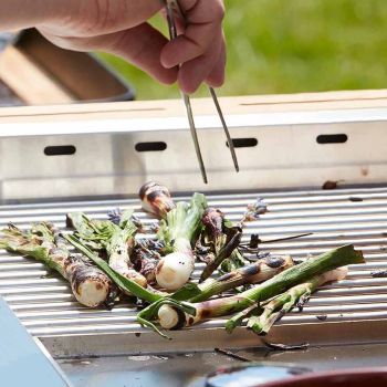 Indu+ Bilba Gasgrill & Wok-Wagen - Schwarz
