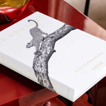 Assouline Londolozi: The Safari That Changed Everything