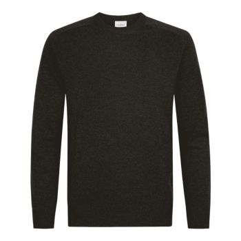 Profuomo Woolen Pullover - Dark Brown