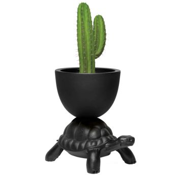 Qeeboo Turtle Carry Planter and Champagne Cooler