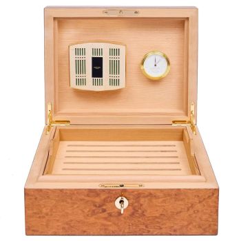 Rapport London 50 Cigar Humidor Burr - Walnut