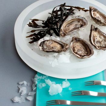 Revol Gourmet Rund