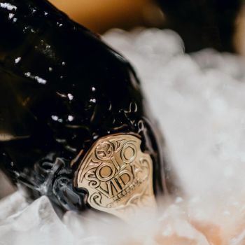 Solo Vida Brut Set