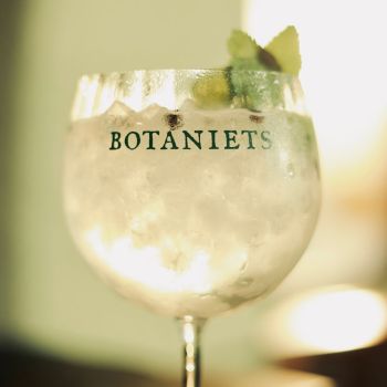 Botaniets Original Non-Alcoholic Gin With Glasses