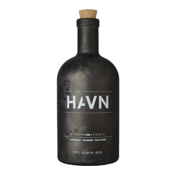 HAVN gin Antwerp