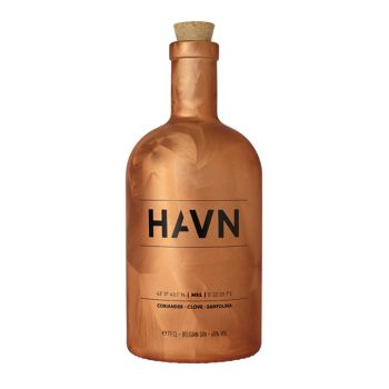 HAVN gin Marseille