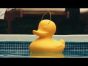 Goodnight Light - The Duck Duck Lamp
